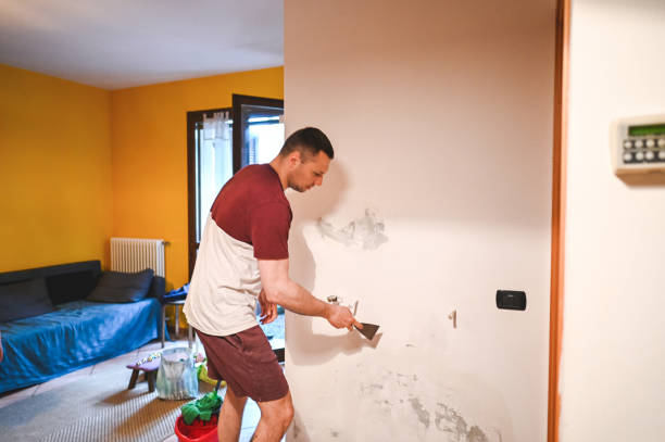 Best Certified Mold Removal  in Kimberly, AL